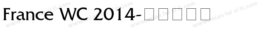 France WC 2014字体转换